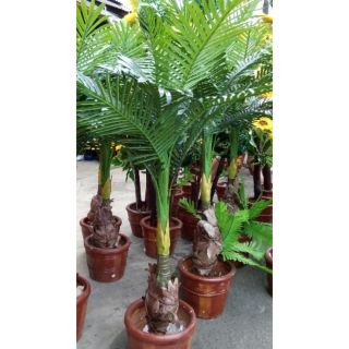 Large Outdoor Artificial Trees Branches Landscaping Make Model Life Size Artificial Big Tre Artificial Tree Branches Artificial Trees For Sale Artificial Trees