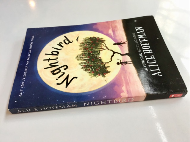 Alice Hoffman Nightbird