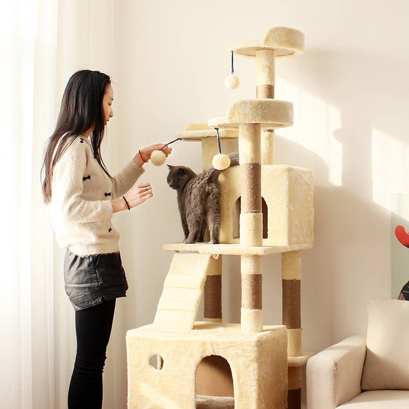 Cat Climbing Tree Wayfair