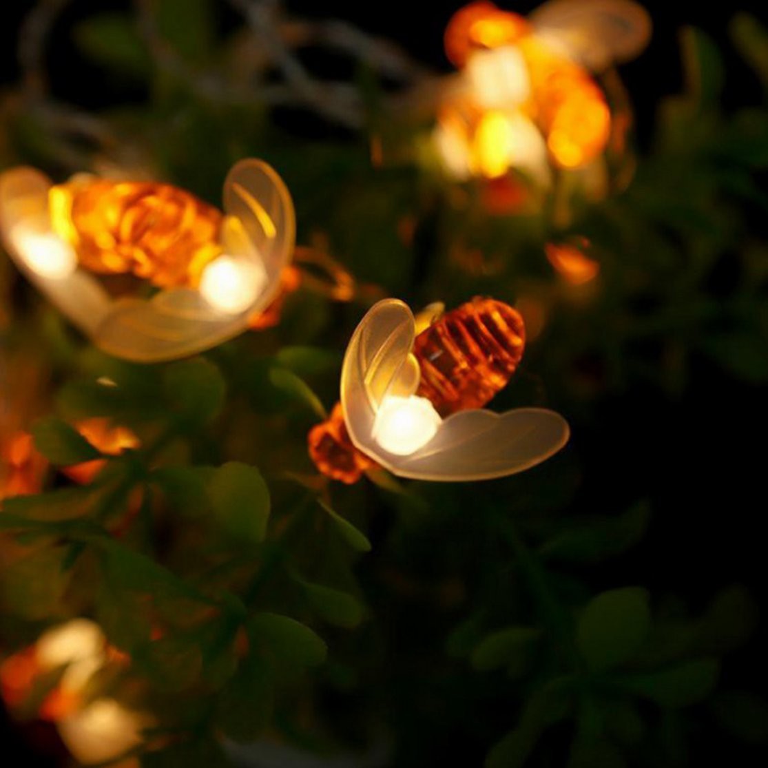 Bal Bahce Aksaray Da Kafe