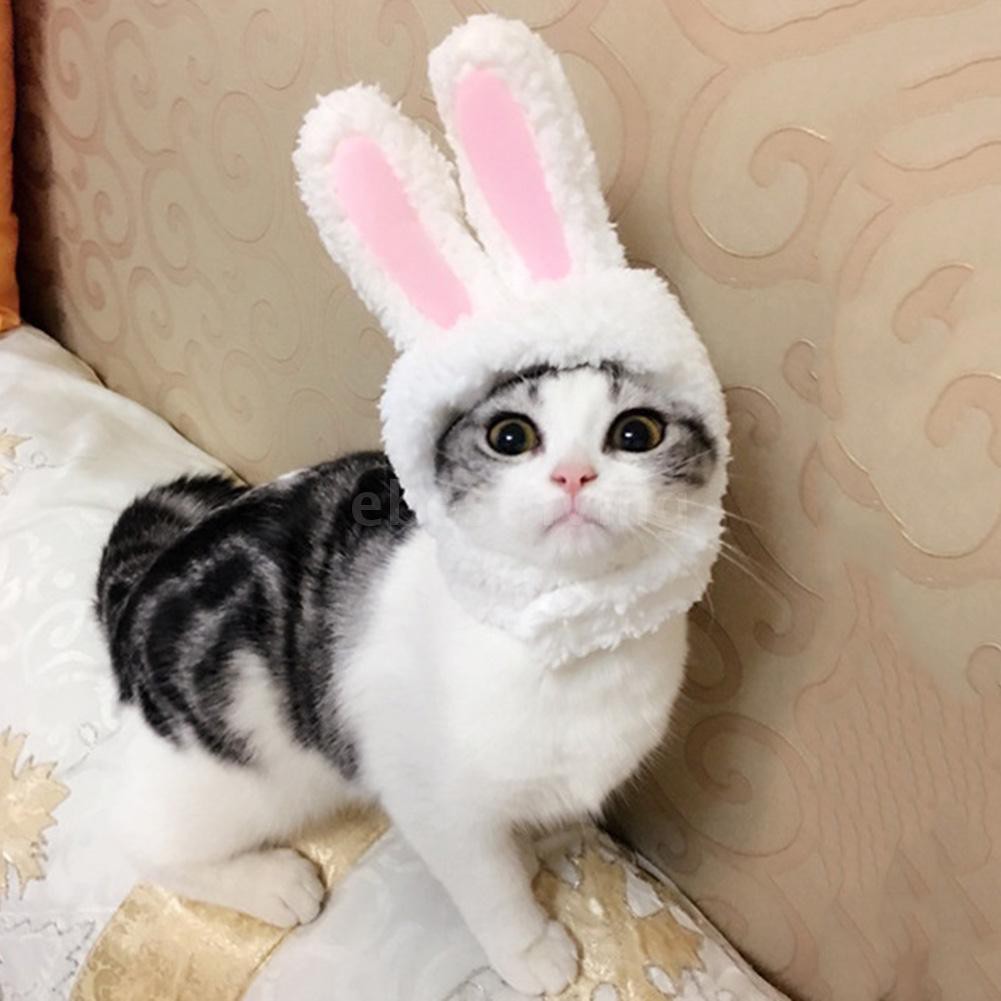 Ebl Cute Pet Rabbit Ears Wig Cap Hat For Cat Costume Cosplay Halloween Xmas Clothes Fancy Dress With Shopee Philippines