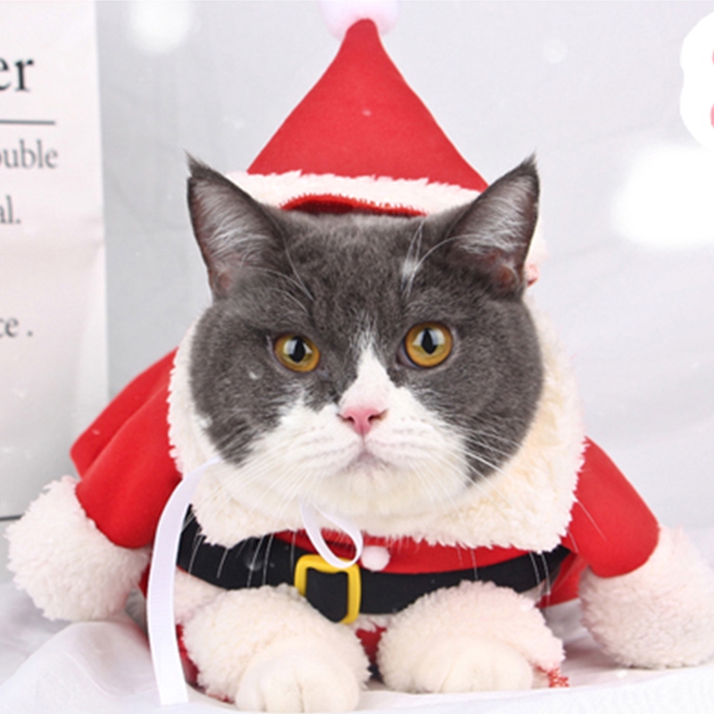 Cat Clothes Kittens Kitten Christmas Dress Winter Cat Clothe Shopee Philippines