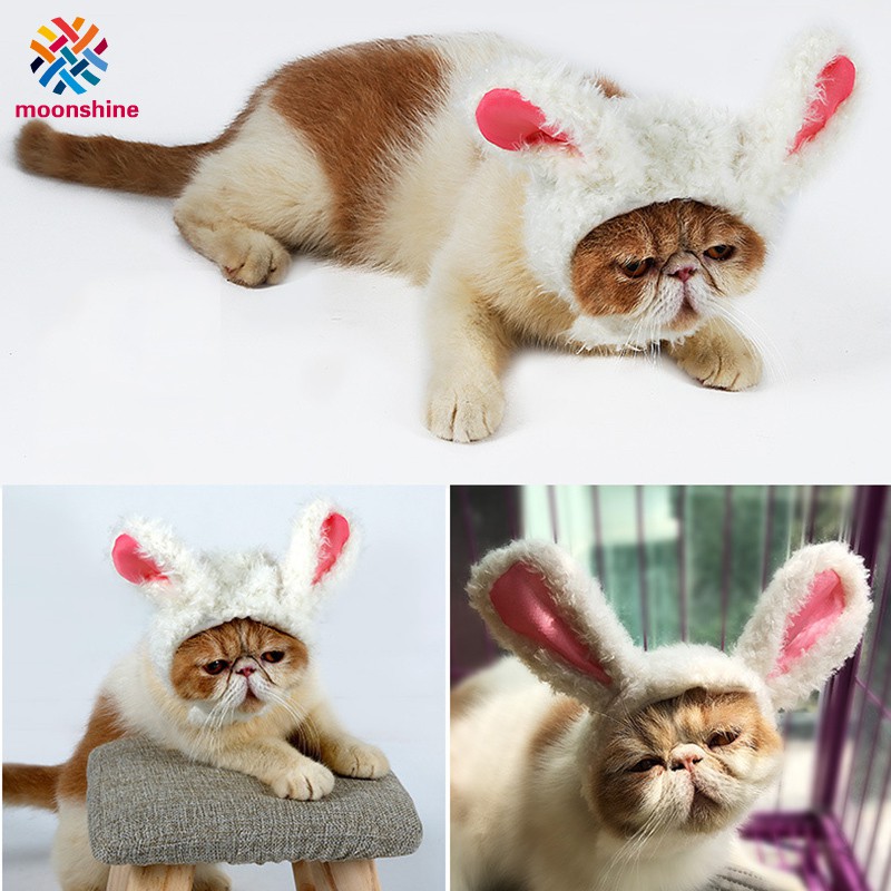 Pet Cat Wig Lions Headgear Rabbit Hat Halloween Christmas Costume Cosplay Dress Up Dog Cat Supplies Outdoor Dress Shopee Philippines
