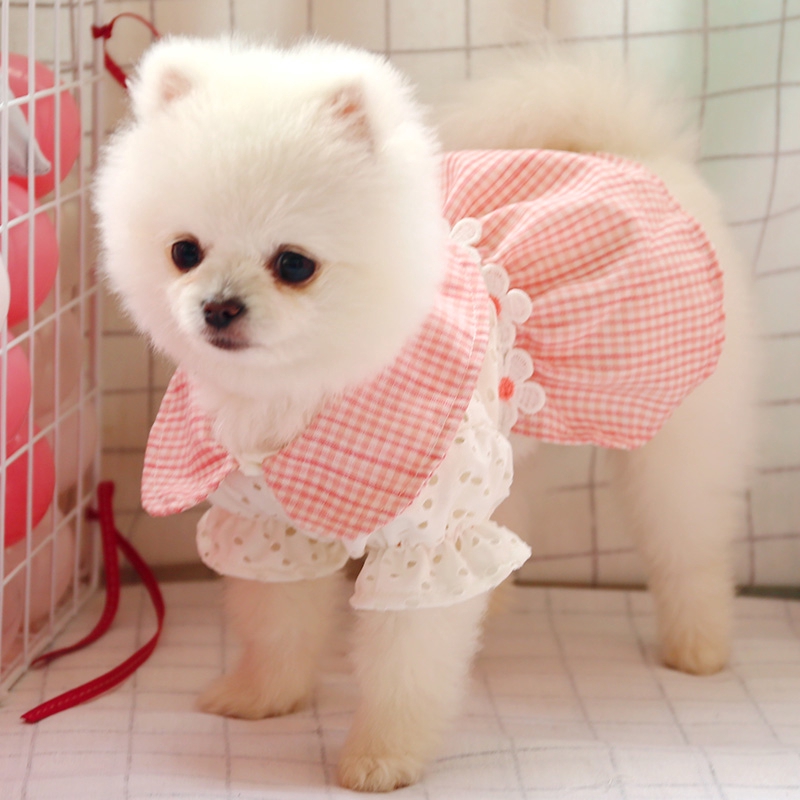 Pet Pomeranian Small Dog Bitch Dog Clothes Teddy Bear Kitten Cat Spring And Summer Thin Princess Dre Shopee Philippines