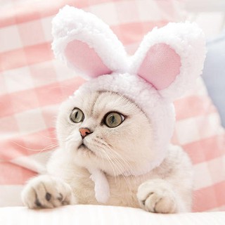 B O Hot Cute Pet Cat Rabbit Ears Hat For Cat Cosplay Clothes Fancy Pet Little Bunny Cap Halloween Easter Birthday Photo Shoot Dress For Small Cat Dog Funny Cap Shopee Philippines