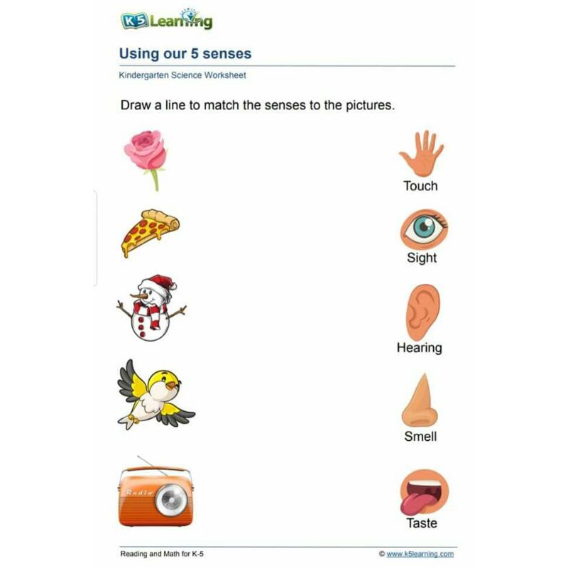 In this coloring science worksheet, your child will color each fruit's seeds and learn about the relationship between seeds, flowers, and fruit. Science Worksheet For Kinder Shopee Philippines