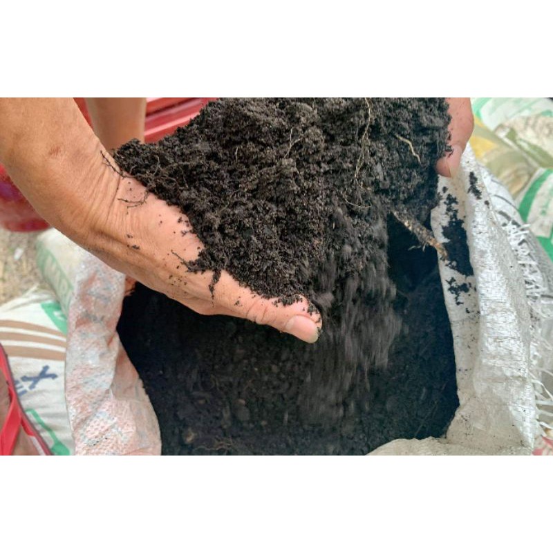 Major Types Of Soils Found In India Bankexamstoday