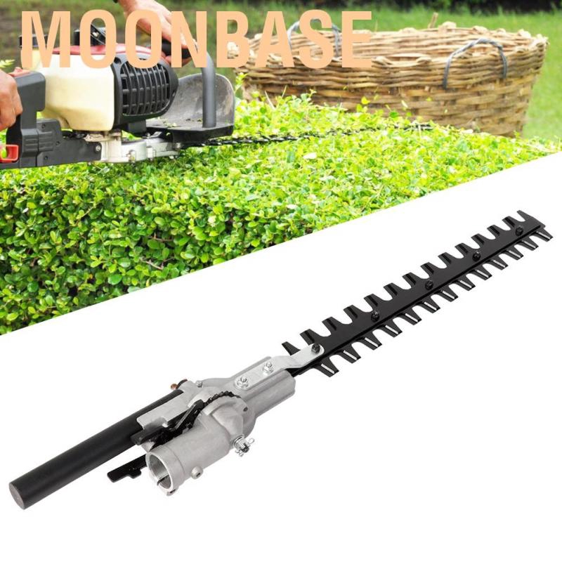 Wooden Garden Patio With Green Trees In A Summer Setting High Res Stock Photo Getty Images