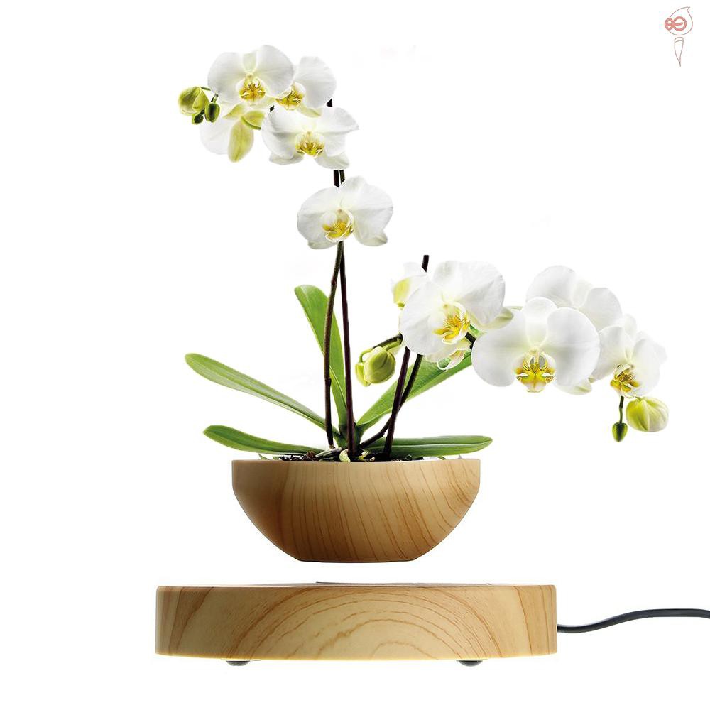 Lyfe consists of a planter that hovers over an oak base via magnetic . Magnetic Levitating Flowerpot Air Bonsai Pot Floating Rotating Plant Pot For Home Office Room Desk Display Decor Not Include Plant Shopee Philippines