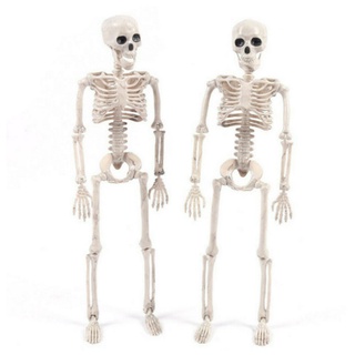 Buy joyin 2 packs 16 posable halloween skeletons, full body posable joints skeletons for halloween decoration, graveyard decorations, haunted house . Halloween Skeleton Best Prices And Online Promos May 2022 Shopee Philippines