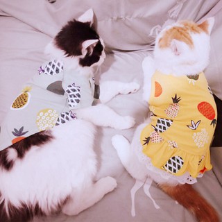 Summer Zdidi Cat Clothes Dress For Cats Pineapple Cat Skirt T Shirt Sweet Mascotas Stephen Dresses Cat Costume Shopee Philippines