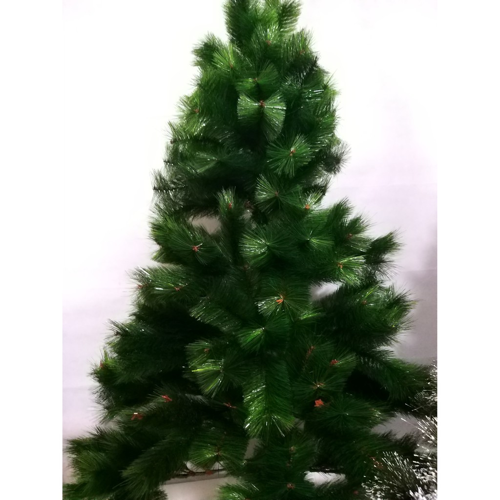 15 Best Types Of Christmas Trees Top Christmas Tree Varieties