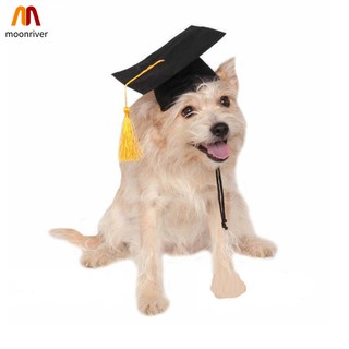 Pet Graduation Caps With Yellow Tassel Dog Cat Holiday Costume Halloween Dress Up Shopee Philippines