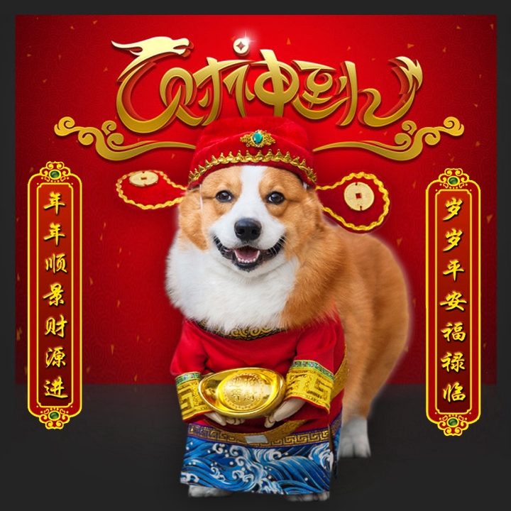 Catzon Pet Dog Clothes Chinese New Year God Of Wealth Dogs Pets Clothing Cny Shopee Singapore