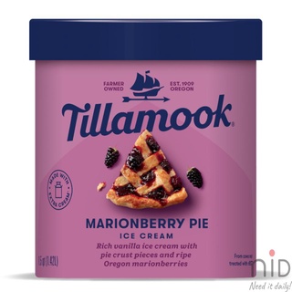 tillamook ice cream 142l shopee singapore on where to buy tillamook ice cream in singapore