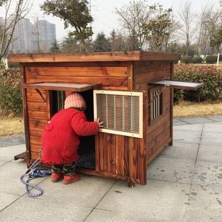 Japanese health officials find 164 dogs crammed into tiny ...