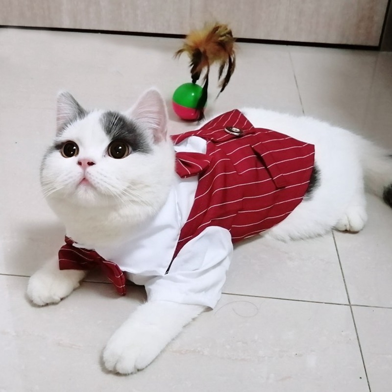 Gentleman Cat Party Costume For Cats Summer Handsome Cat Wedding Clothes Evening Dress Suit Tuxedo Pets Clothing Shopee Singapore