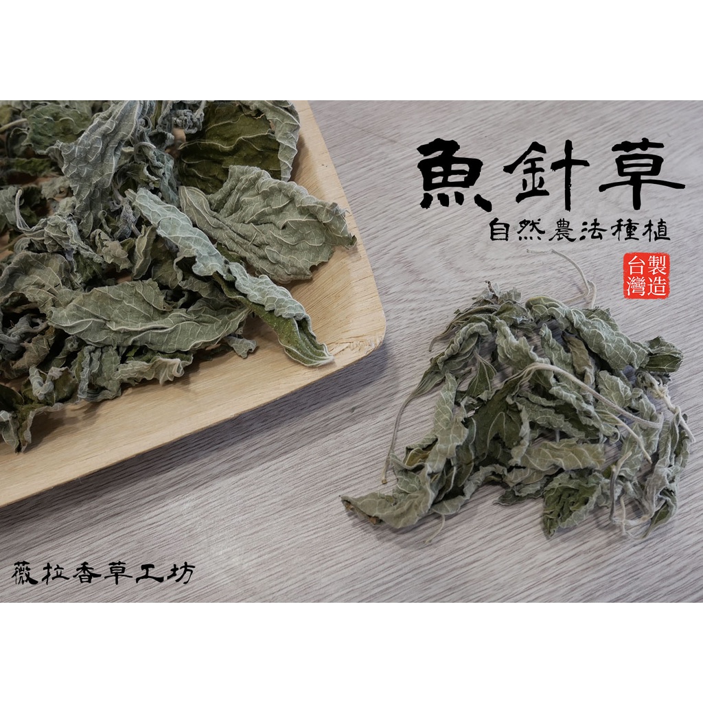 魚針草的價格推薦