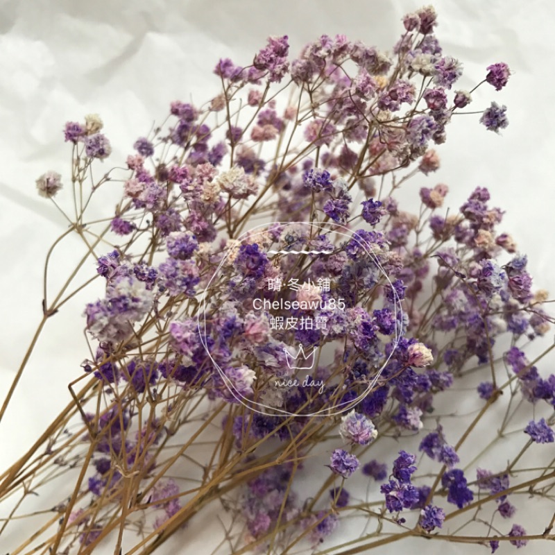 乾燥花染色認識不凋花 乾燥花 Yxhsa