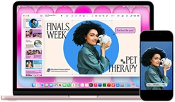 MacBook Neo, blush color, next to iPhone, MacBook Neo screen shows presentation titled Finals Week Pet Therapy with photo of a person holding a guinea pig, iPhone screen shows same photo, which has been turned into a sticker to use in presentation