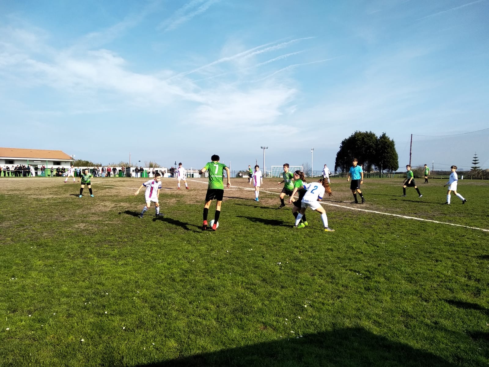 d4215fa5-1677-4b4f-ab7d-044c0d8abbe9.jpg