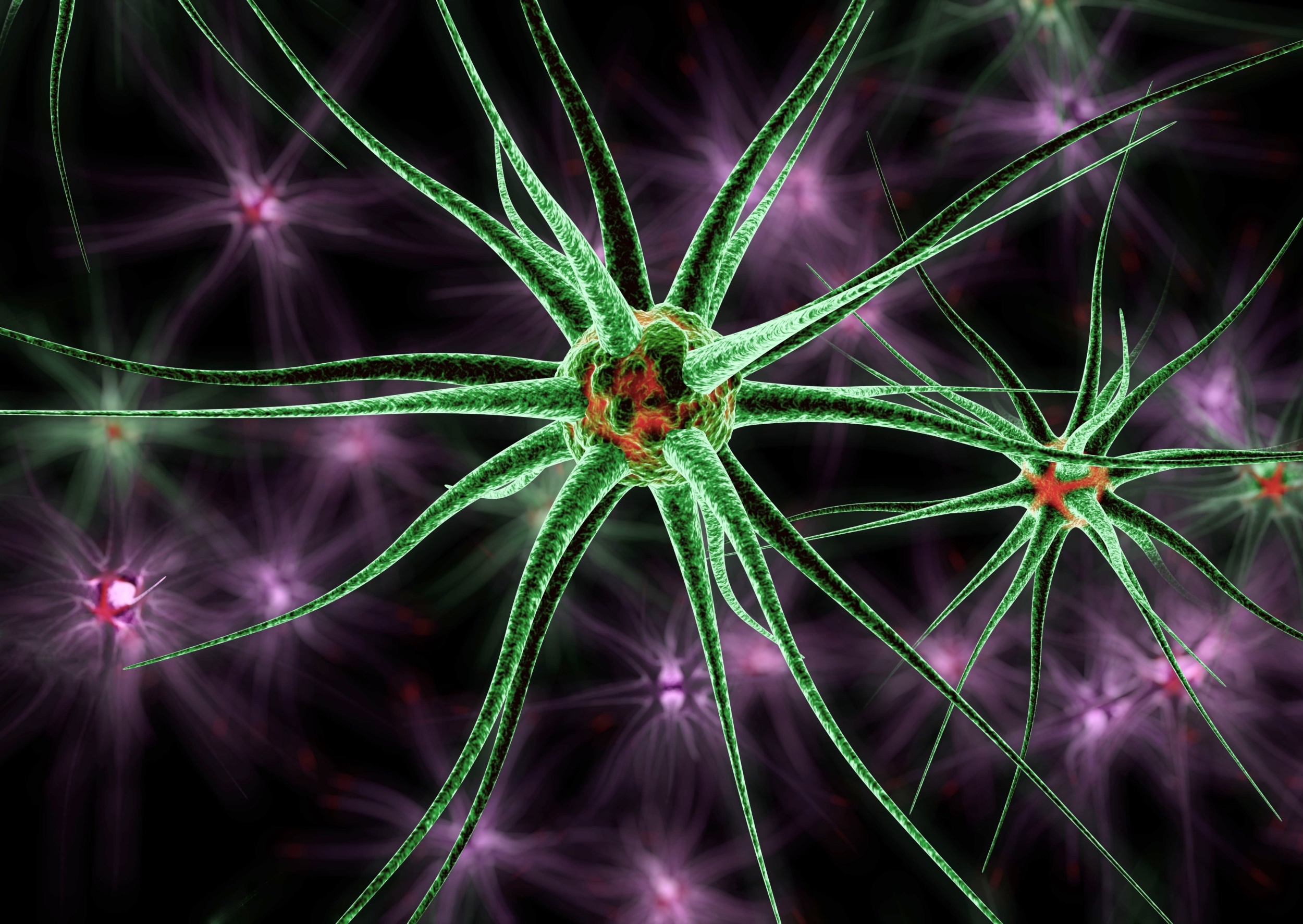 The Surprising Impact of Reward Size on Brain Learning Speed (2026)