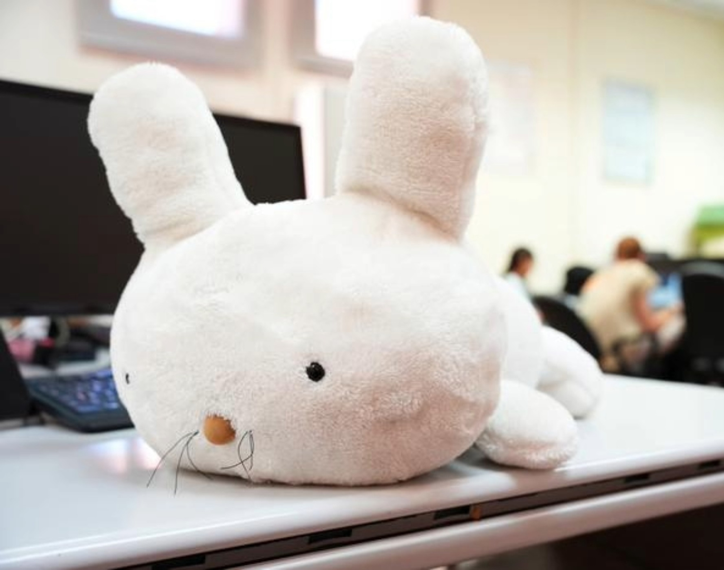 Meet Mía: The Camera-Free Robotic Rabbit That Recognizes You by Voice | Future of Elderly Care (2026)