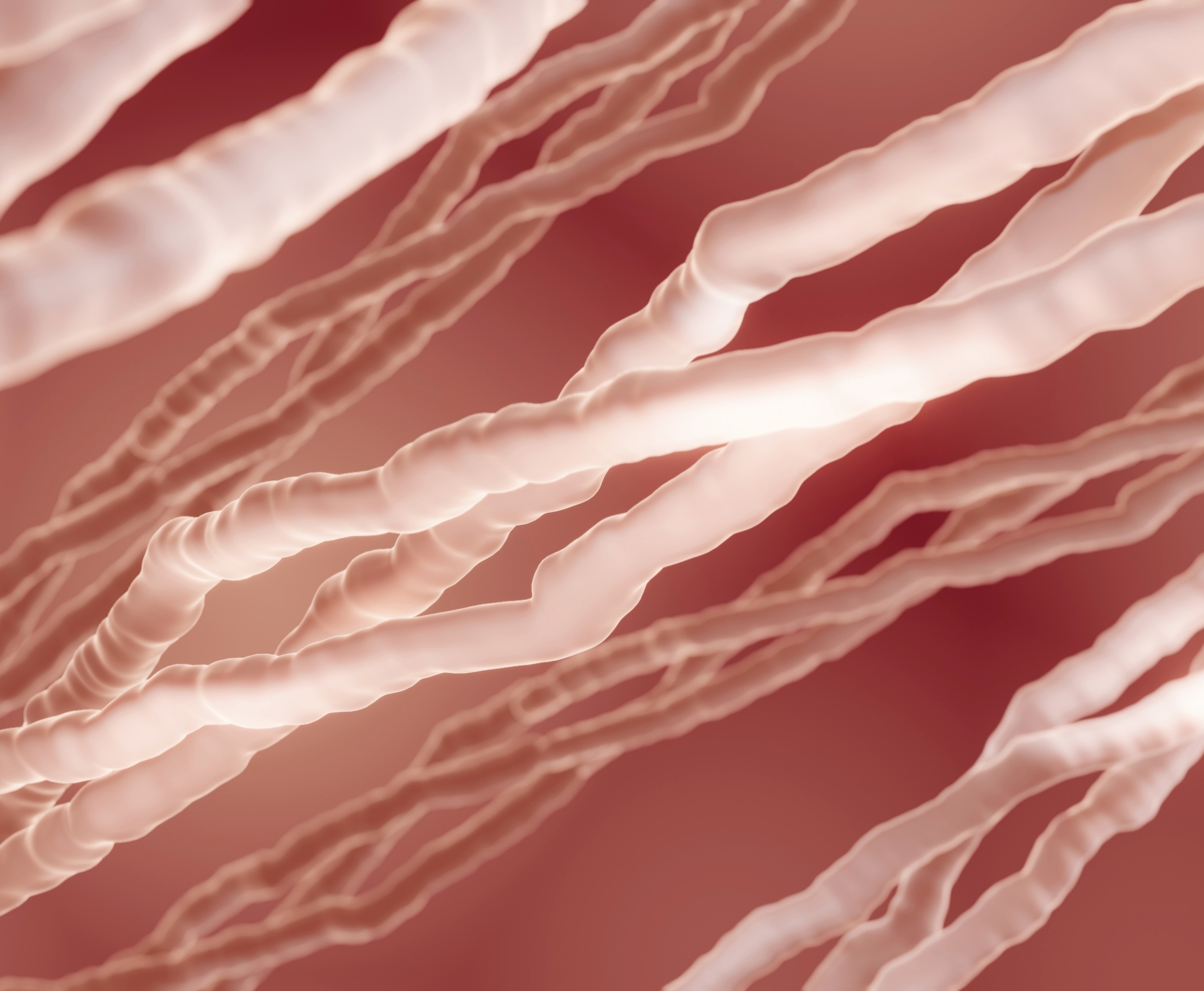 Unveiling the Hidden Signs of Skin Aging: A Molecular Perspective (2026)