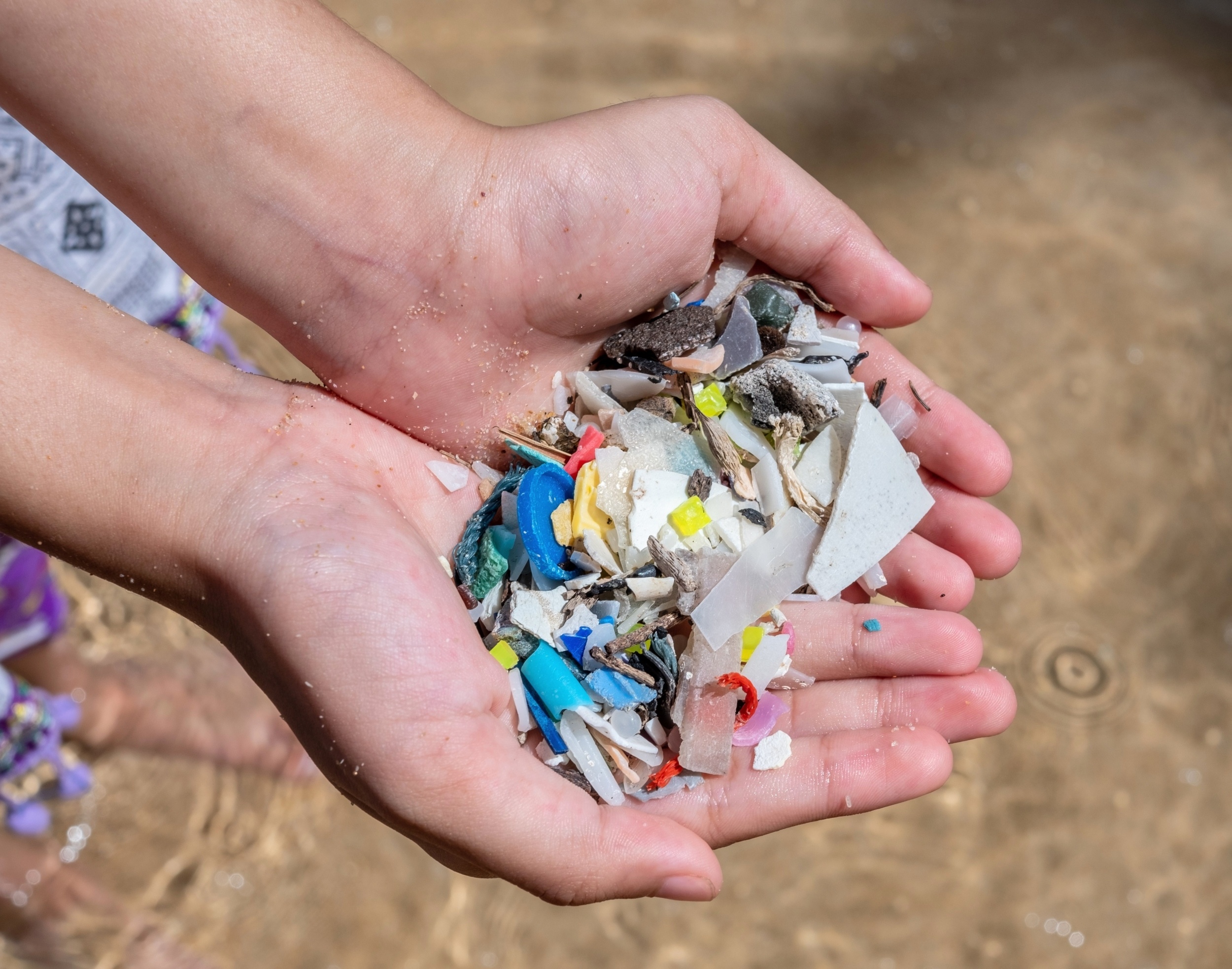 Revolutionary Fluffy Net: A Natural Solution to Ocean Microplastic Pollution (2026)