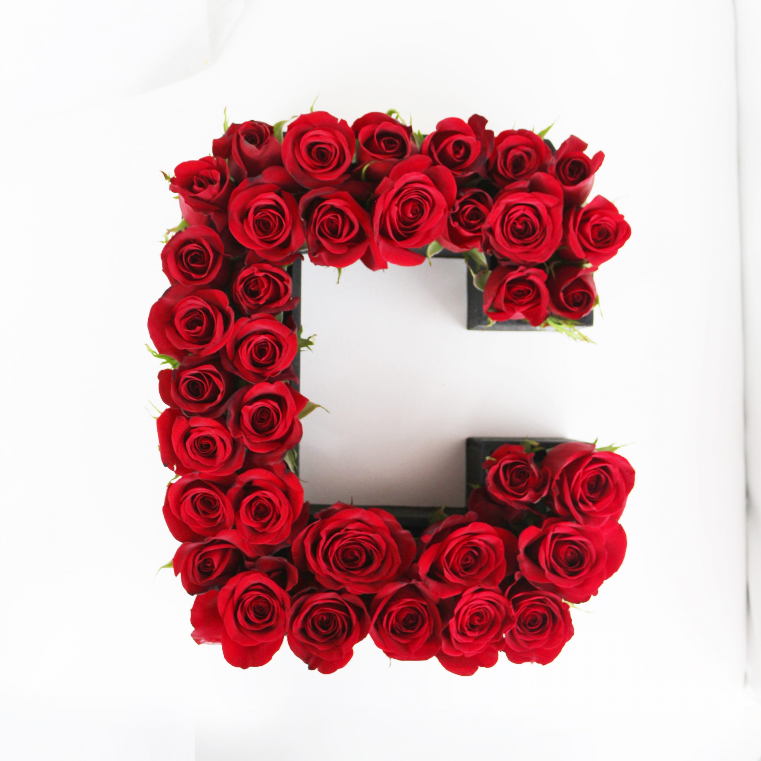 Letra C de Rosas