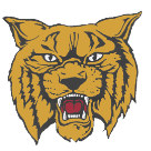 Citronelle high school ice hockey