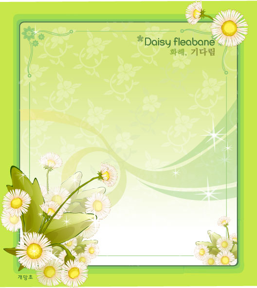 Daisy fleabane flower frame vector Free download
