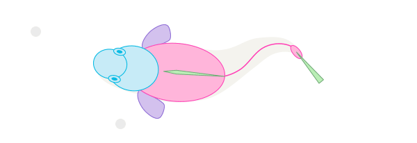 нарисовать кита или дельфина