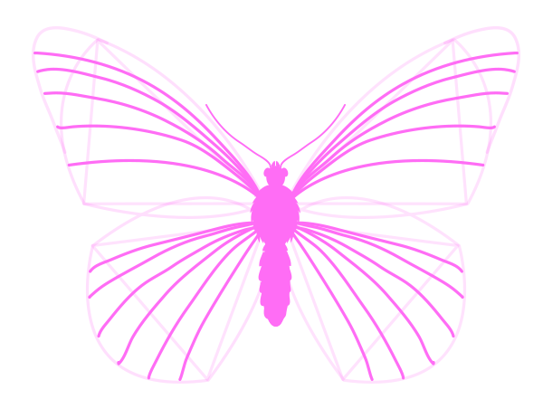 как рисовать крылья бабочки