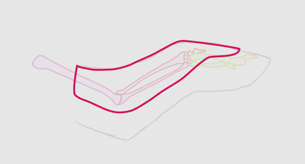 нарисовать крылья на спине