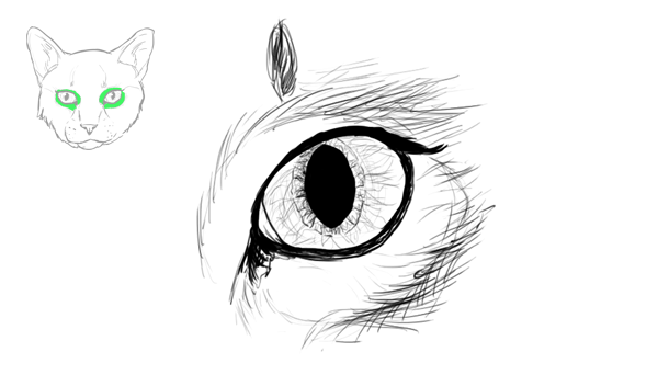 как нарисовать лапку кошки