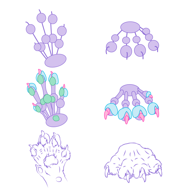 как нарисовать лапку кошки