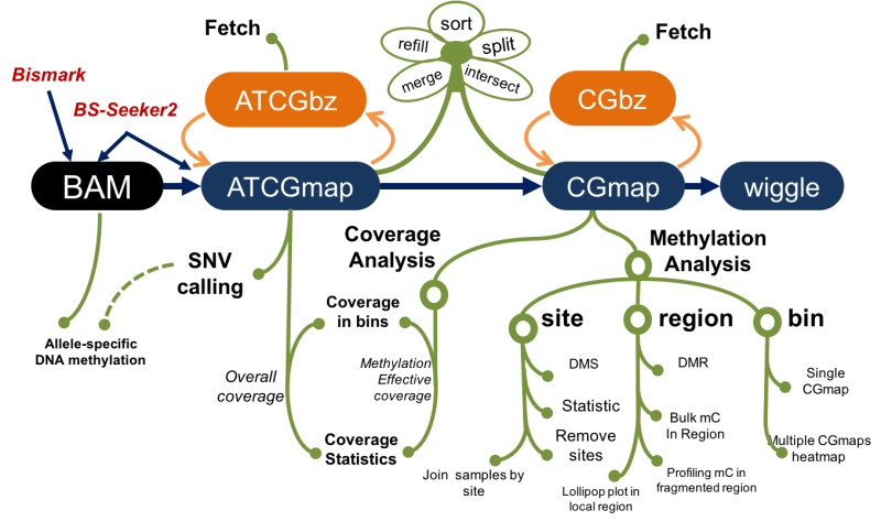 Github Pzhulab Cgmaptools Toolbox For Analysing Bs Seq Data Advance - Geometric Design Collection - Ultra HD Quality