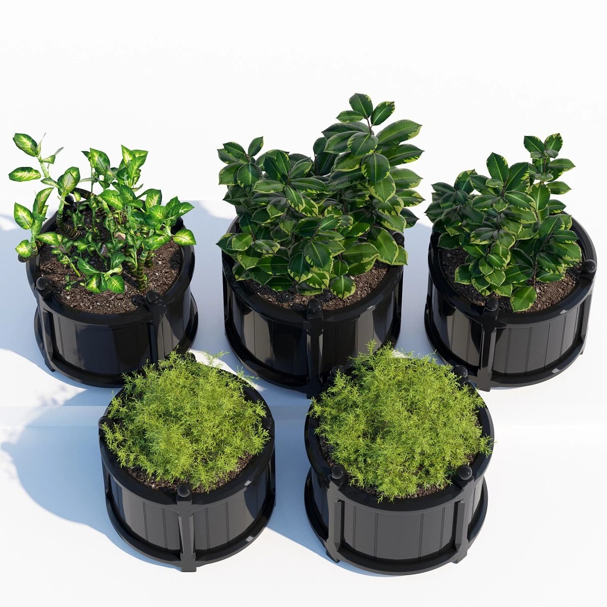 Versailles Planter - Round Versailles Planter In Black - 3D Model for VRay, Corona