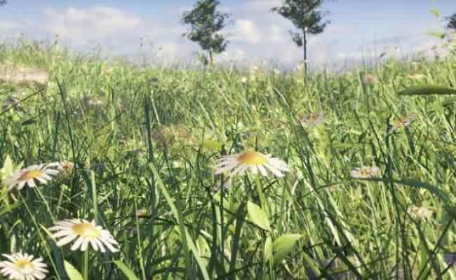 Tutorials Create Realistic Grass In Blender 2.8 In 15 Minutes