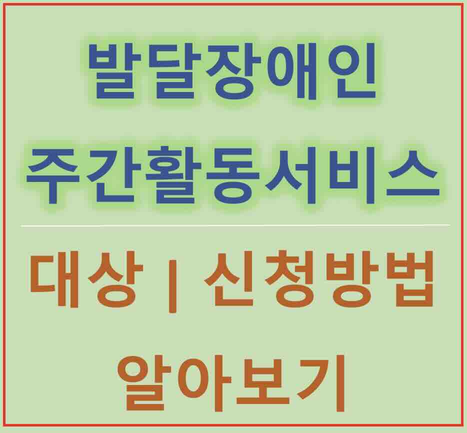 발달장애인 주간활동 서비스 - 사회서비스 전자바우처 주요 정부지원사업