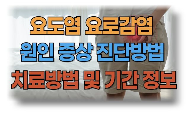 요도염과 요로감염의 원인, 증상, 진단, 치료법, 그리고 예방 방법
