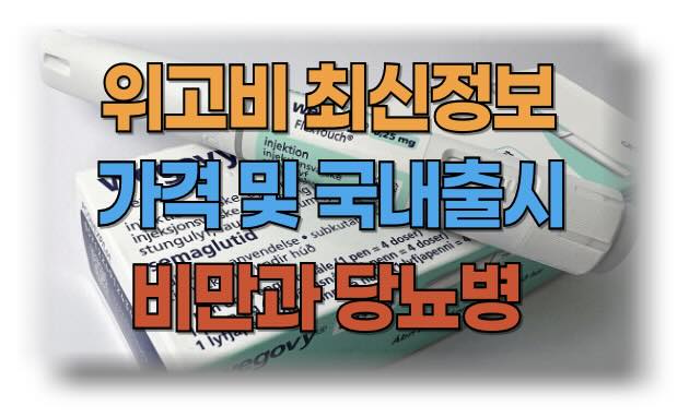 위고비 가격, 효과, 부작용, 그리고 국내출시 정보