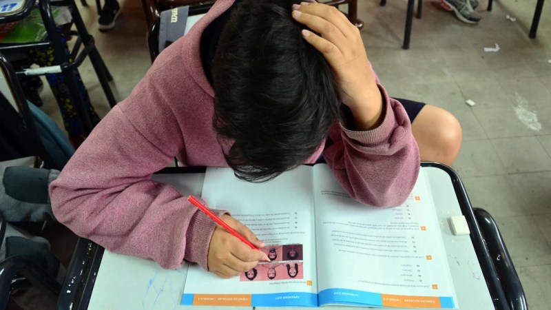 En Argentina «la alfabetización se volvió exclusiva»: «siete de cada diez jóvenes de clase baja no leen»