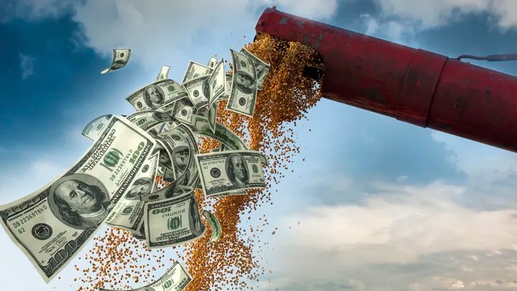 Fuerte suba de la soja: ganó casi un 4% y se acercó nuevamente a los U$D 600 la tonelada