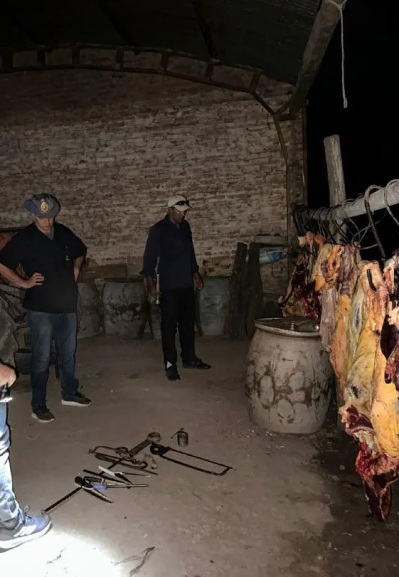 Gral. San Martin: Nueve detenidos tras robar y carnear una vaca para festejar un cumpleaños de 15