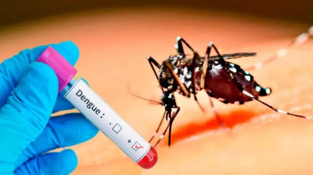 Ola de Mosquitos: Que dice el parte oficial sobre la situación del Dengue
