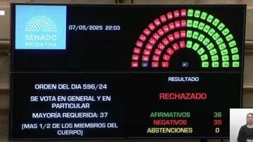 En un final inesperado, el Senado rechazó Ficha Limpia