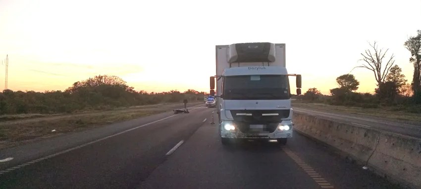 Otro accidente sobre la ruta nacional N° 16 provocada por un animal suelto