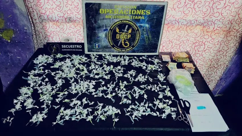 Golpe al narcotráfico en Resistencia: incautan más de 600 dosis de cocaína en un operativo
